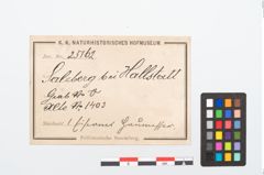 Etikett zu Eisenhiebmesser (NHMW-PRAE-025162)